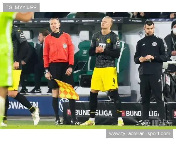 哈兰德的家乡早餐店被粉丝包场,人气爆棚 哈兰德的家乡早餐店被粉丝包场,人气爆棚